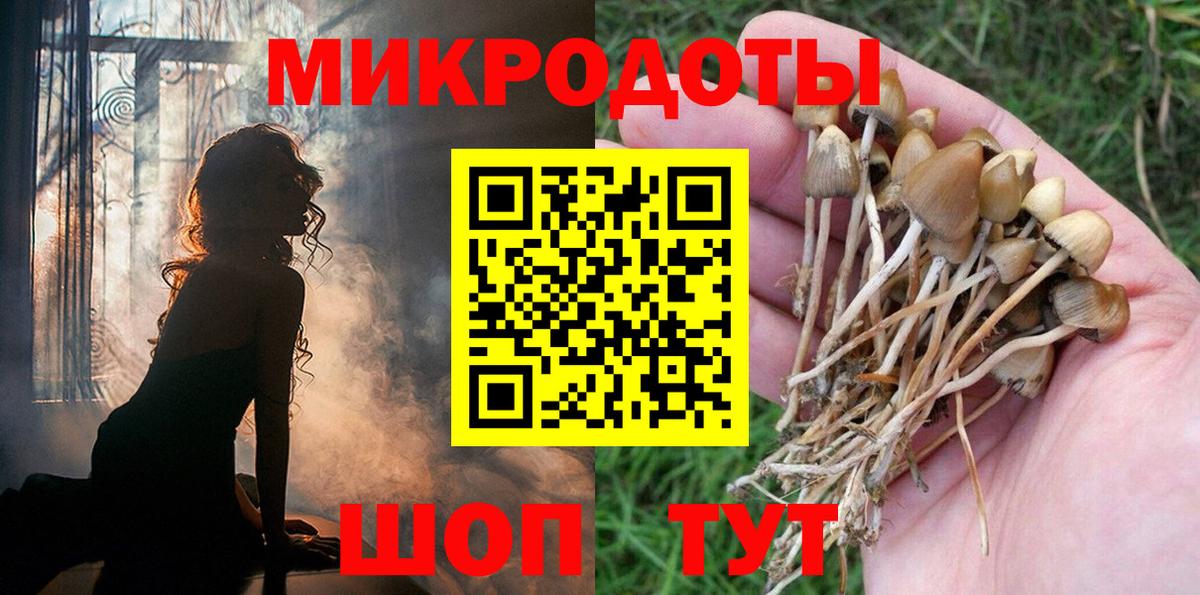 Псилоцибиновые грибы Cubensis Россия